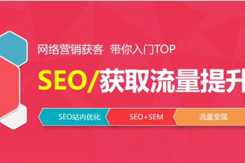 2023个人网站seo培训入门到精通视频教程百度云下载