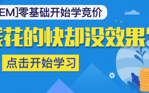 sem竞价新手面试入门经验视频教程百度云下载