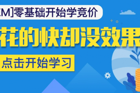 sem竞价新手面试入门经验视频教程百度云下载