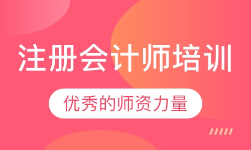 2023年注册会计师会计应试指南思维导图pdf电子版资料百度云下载