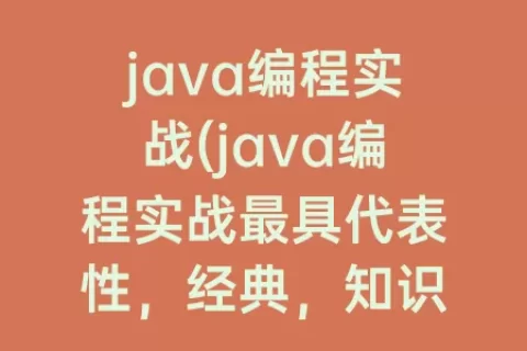 java编程实战(java编程实战最具代表性，经典，知识点最密集项目展示)