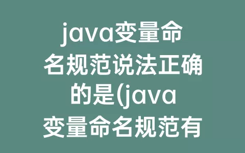 java变量命名规范说法正确的是(java变量命名规范有哪些)