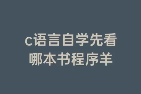 c语言自学先看哪本书程序羊