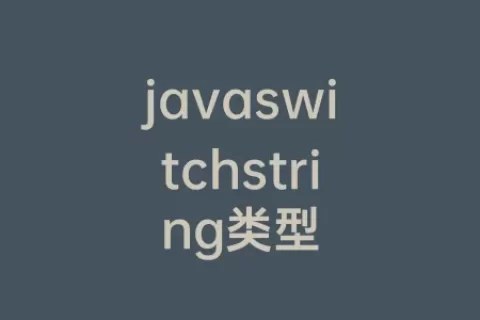 javaswitchstring类型