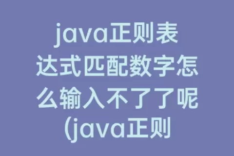 java正则表达式匹配数字怎么输入不了了呢(java正则表达式匹配数字和小数点)