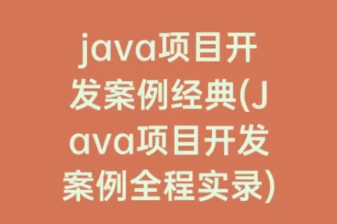 java项目开发案例经典(java项目开发案例全程实录)