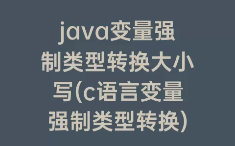 java变量强制类型转换大小写(c语言变量强制类型转换)