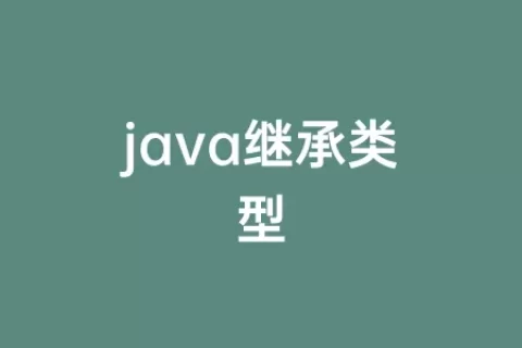 java继承类型