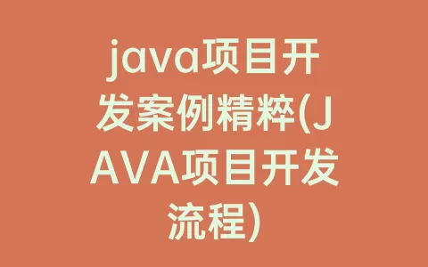 java项目开发案例精粹(java项目开发流程)