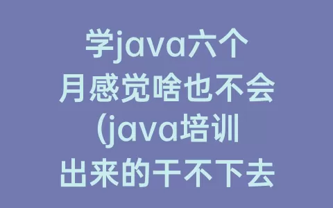学java六个月感觉啥也不会(java培训出来的干不下去)
