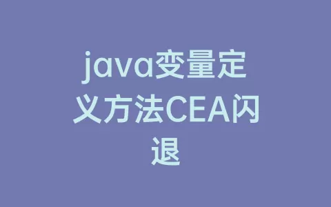 java变量定义方法cea闪退