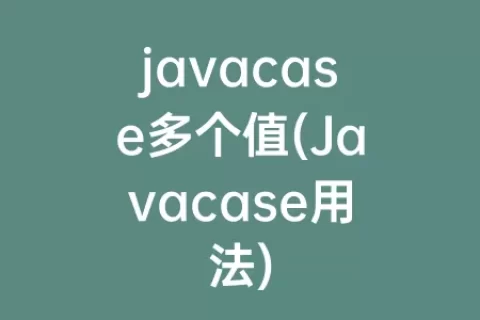 javacase多个值(javacase用法)