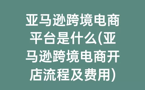 亚马逊跨境电商平台是什么(亚马逊跨境电商开店流程及费用)