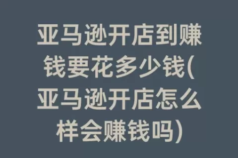 亚马逊开店到赚钱要花多少钱(亚马逊开店怎么样会赚钱吗)