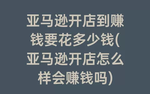 亚马逊开店到赚钱要花多少钱(亚马逊开店怎么样会赚钱吗)