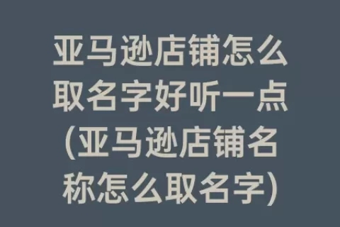 亚马逊店铺怎么取名字好听一点(亚马逊店铺名称怎么取名字)