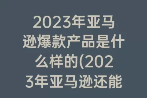 2023年亚马逊爆款产品是什么样的(2023年亚马逊还能做吗)