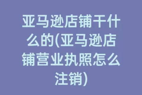 亚马逊店铺干什么的(亚马逊店铺营业执照怎么注销)