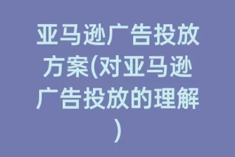 亚马逊广告投放方案(对亚马逊广告投放的理解)