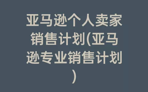 亚马逊个人卖家销售计划(亚马逊专业销售计划)