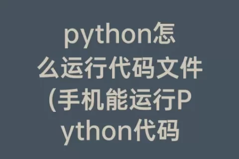 python怎么运行代码文件(手机能运行python代码吗)