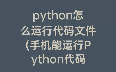 python怎么运行代码文件(手机能运行python代码吗)