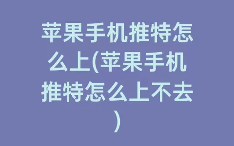 苹果手机推特怎么上(苹果手机推特怎么上不去)