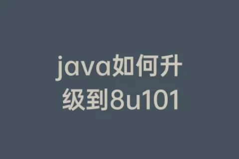 java如何升级到8u101