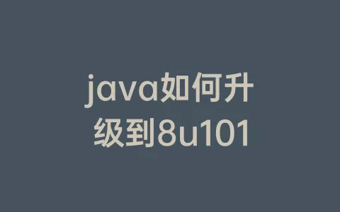 java如何升级到8u101
