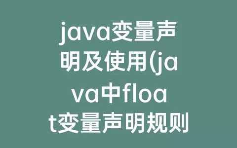 java变量声明及使用(java中float变量声明规则)