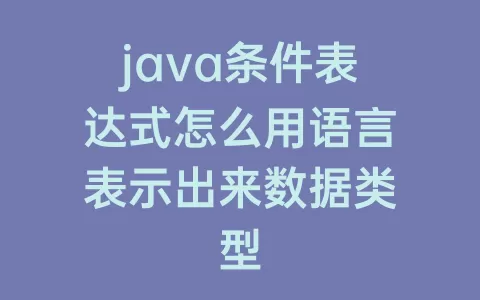 java条件表达式怎么用语言表示出来数据类型