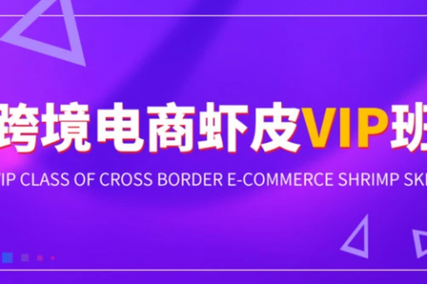 虾皮跨境电商教程百度网盘 shopee运营教程云