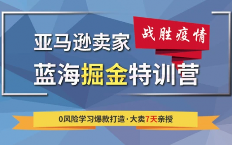 亚马逊培训视频 亚马逊开店培训 亚马逊开店视频百度云