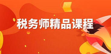2023税务师财务与会计电子版教材百度云百度云 税务师课件下载网盘资源