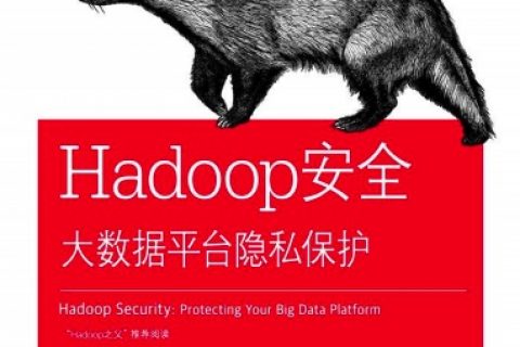 hadoop安全：大数据平台隐私保护pdf电子书籍下载百度网盘