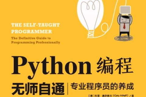 python编程无师自通-专业程序员的养成pdf电子书籍下载百度云