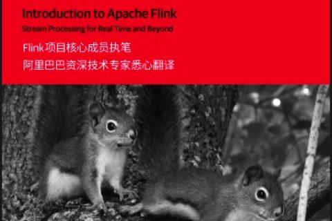 flink基础教程pdf电子书籍下载百度网盘