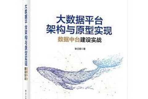 大数据平台架构与原型实现：数据中台建设实战 pdf电子书籍下载百度网盘