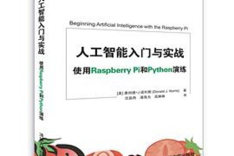 人工智能入门与实战：使用raspberry pi和python教程演练pdf电子书籍下载百度网盘