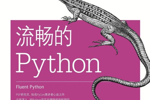 百度网盘流畅的python教程高清pdf电子书籍下载