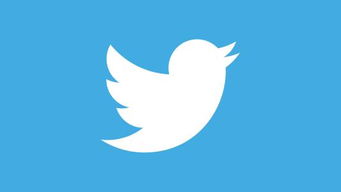 杜兰特的twitter头像小男孩（苹果杜兰特的twitter名字详解教程）