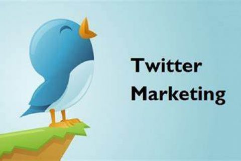 iphone如何安装twitter国内(苹果如何安装twitter )