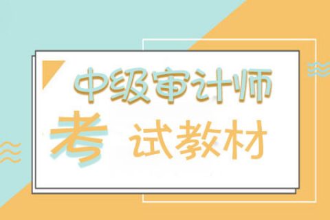 2023中级审计师专业相关知识历年真题及答案百度网盘下载