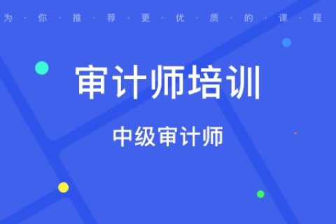 2023中级审计师理论与实务培训视频课程百度云免费下载