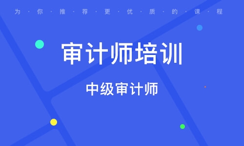 2023中级审计师理论与实务培训视频课程百度云免费下载