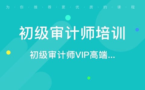 2023初级审计师理论与实务视频教材电子版pdf百度云下载