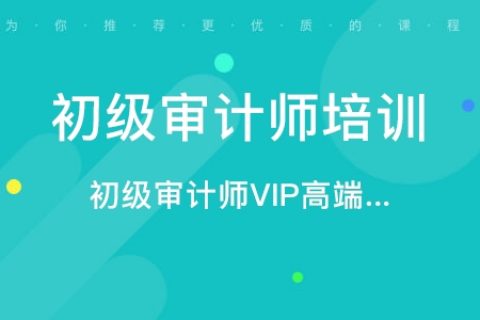 2023初级审计师理论与实务视频教材电子版pdf百度云下载