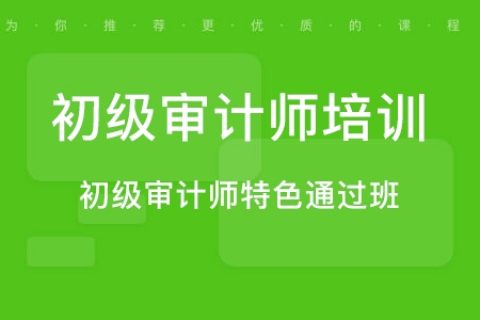 2023初级审计师专业相关知识视频教材课程百度网盘下载