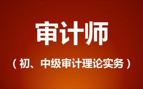 2023中级审计师理论与实务历年真题及答案解析百度云下载