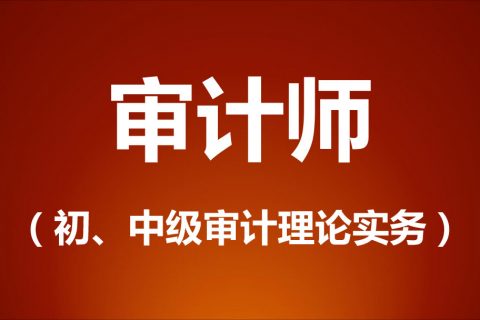 2023中级审计师理论与实务历年真题及答案解析百度云下载